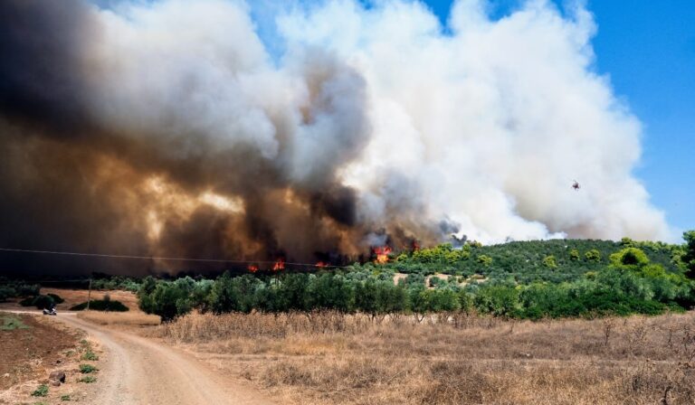 Μάχη με τις φωτιές σε Ροδόπη, Καβάλα, Βοιωτία, Εύβοια, Κύθνο – Συνεχείς οι εκκενώσεις οικισμών (εικόνες & βίντεο)  