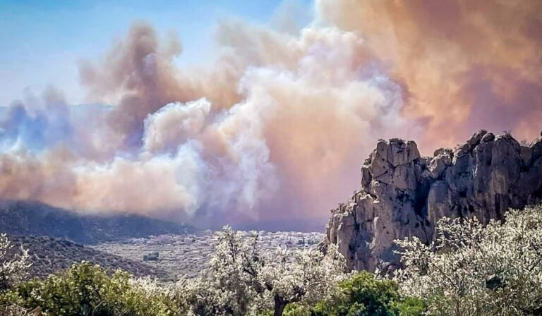 Αρτοποιός για φωτιές: «Οι αναζωπυρώσεις στη Βοιωτία δημιουργούν μέτωπο»   