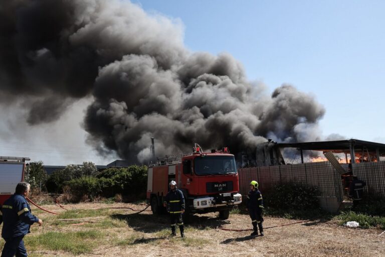 Πυροσβεστική σε φωτιά στο Ηράκλειο της Κρήτης