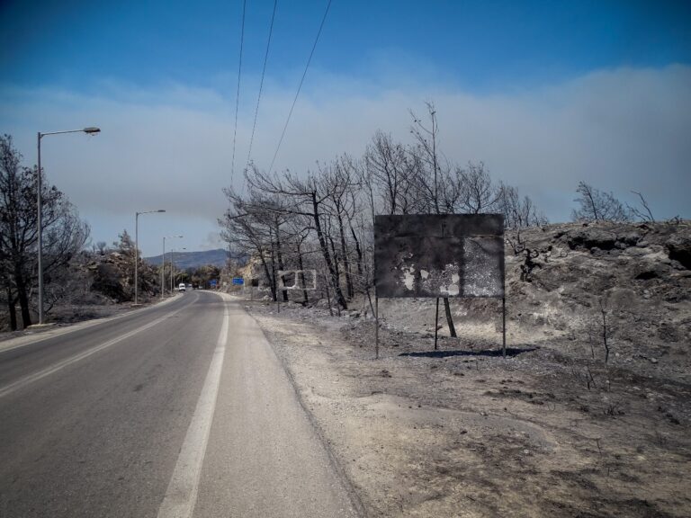 Ευχαριστήριο μήνυμα ΥΠΕΞ στην Κύπρο: Εκφράζουμε την ευγνωμοσύνη μας για την πολύτιμη υποστήριξή σας στην αναδάσωση της Ρόδου