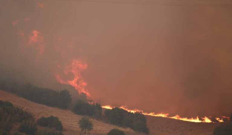 Φωτιά στον Έβρο: Καίγεται και ο μικρός πυρήνας του δάσους της Δαδιάς – Πολύ υψηλός κίνδυνος πυρκαγιάς και σήμερα  