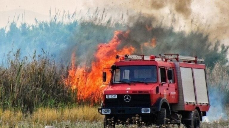 Φθιώτιδα: Εμπρησμούς από πρόθεση βλέπει η Πυροσβεστική πίσω από τη φωτιά στο Νεοχώρι!