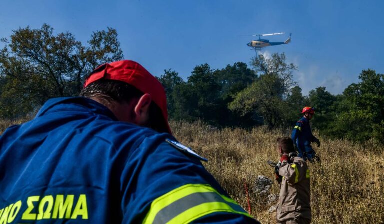 Φωτιά σε δασική έκταση στην Κορινθία