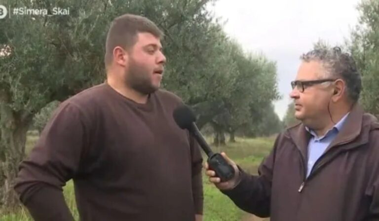 Έκλεψαν 7 τόνους ελιές από χωράφι στην Αχαΐα – Ο ελαιοπαραγωγός τους έπιασε επ’ αυτοφώρω και κάλεσε την ΕΛ.ΑΣ (βίντεο)