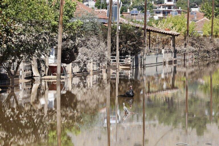 Παγώνη για Θεσσαλία: «Ο κόσμος πρέπει να χρησιμοποιεί εμφιαλωμένο νερό για τα πάντα – Nα θαφτούν τα νεκρά ζώα» (βίντεο)