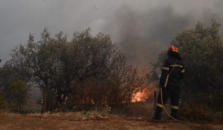 Φωτιές στη Μαγνησία: Ενεργοποιήθηκε η υπηρεσία Copernicus για τις καταστροφές από τις πυρκαγιές