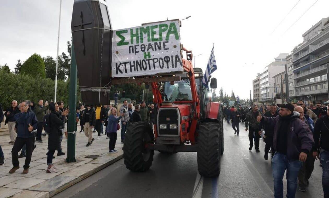 agrotes syntagma