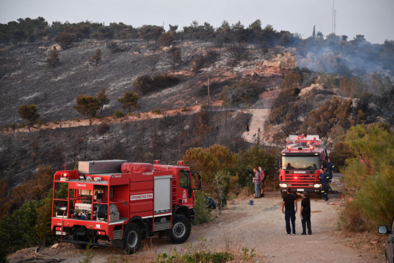 Πυροσβεστική: 71 δασικές πυρκαγιές μέσα σε 24 ώρες