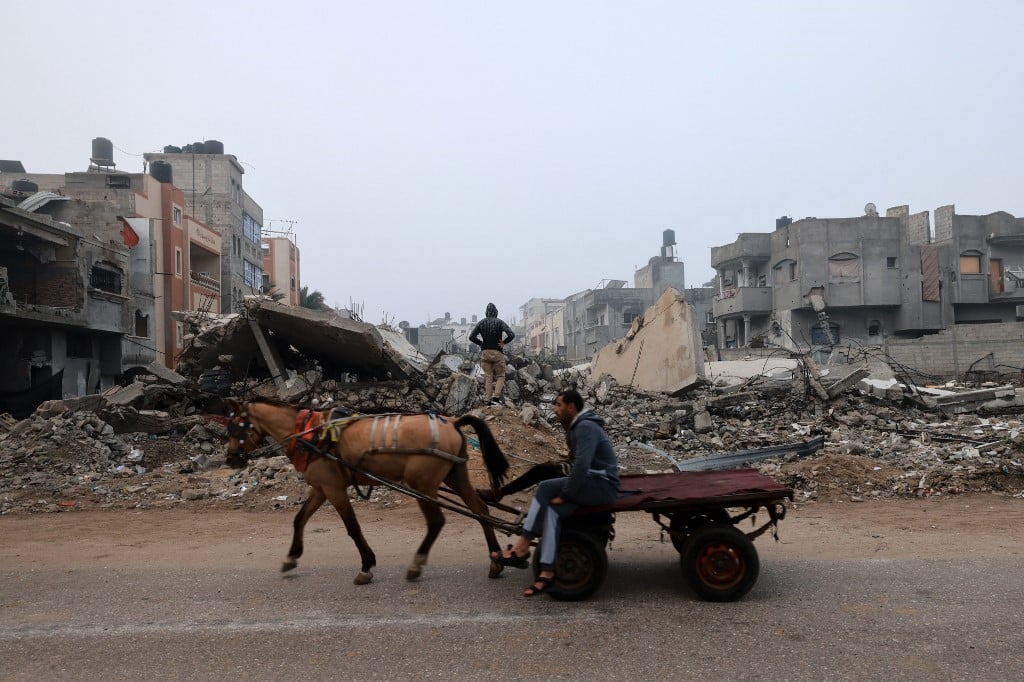 gaza raffa rubble horse carriage mohammed abed afp