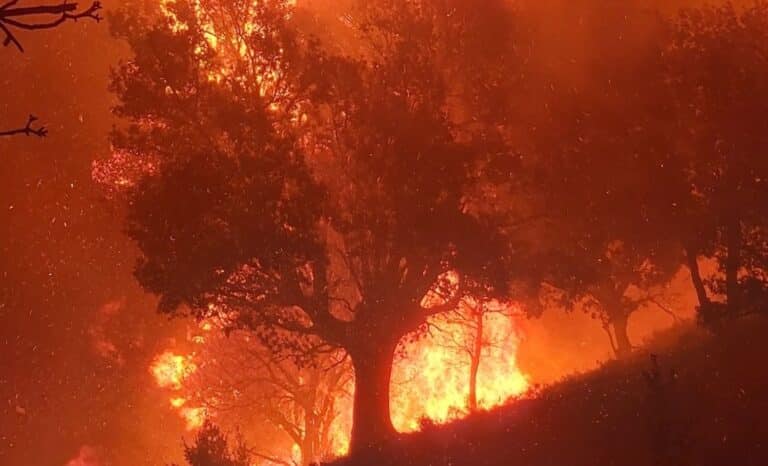 Τον συνέλαβαν την ώρα που προσπαθούσε να σβήσει τη φωτιά!