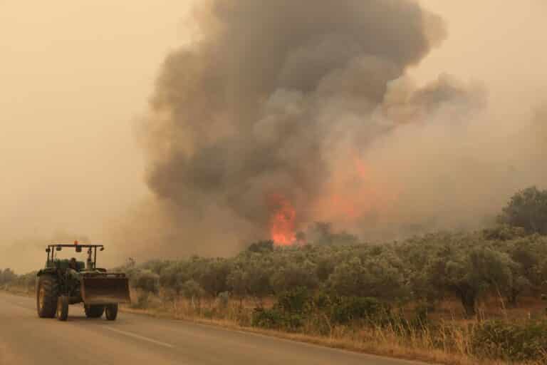 «Ανοχύρωτος» ο Έβρος 8 μήνες μετά τις πυρκαγιές – «SOS» από τους κατοίκους