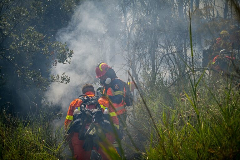 Συνελήφθη αλλοδαπός για εμπρησμό στην Ηλεία!