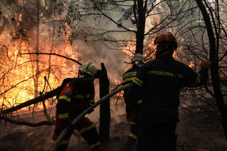 Βόλος: Χειροπέδες σε 35χρονος για τη φωτιά στο Μούρεσι