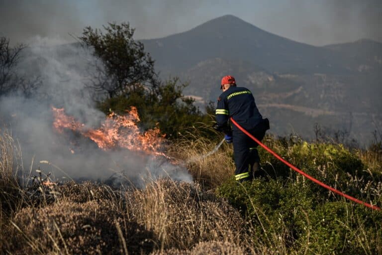 Μαίνεται η φωτιά στα Πιέρια Όρη: «Ξεκίνησε από τα 1100 μ κι έφτασε στα 1900 μ υψόμετρο…», λέει δασάρχης