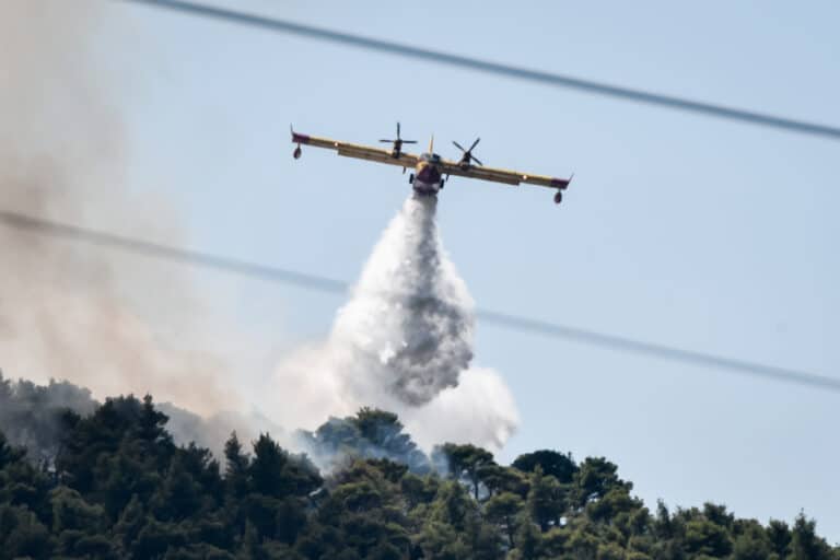 Συναγερμός σε έξι περιφέρειες για φωτιές – «Η ανομβρία απειλεί τα δάση», λένε ειδικοί