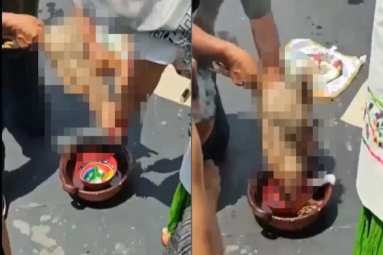 Σάλος στο Μεξικό: Γερουσιαστής θυσίασε κότα στον θεό της βροχής (σκληρές εικόνες)