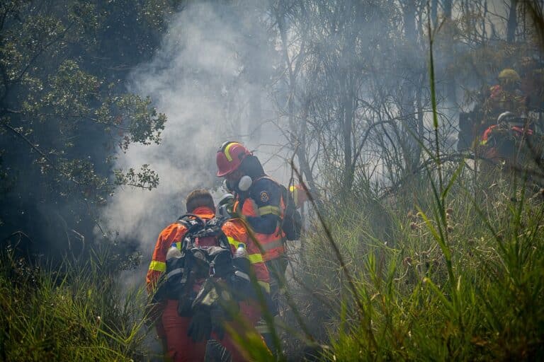 ΕΕ: 556 πυροσβέστες από 12 χώρες θα βρίσκονται το καλοκαίρι προτοποθετημένοι σε χώρες, όπως η Ελλάδα