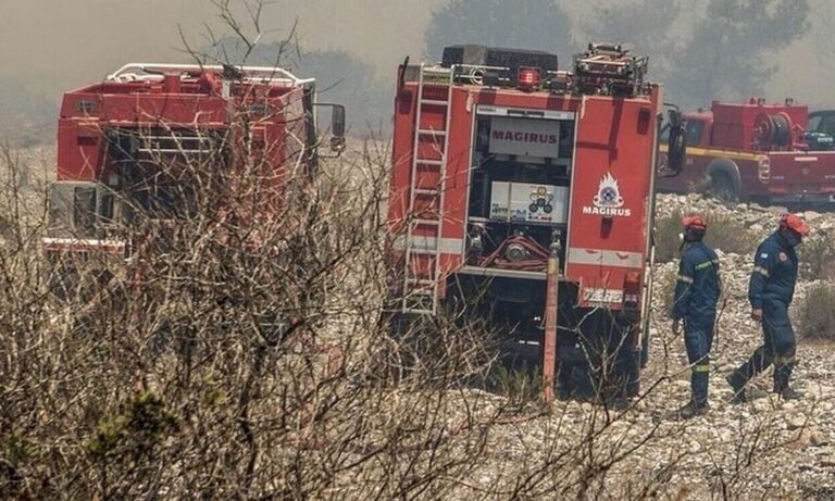 Τρεις πυρκαγιές σε εξέλιξη στην Μεσσηνία