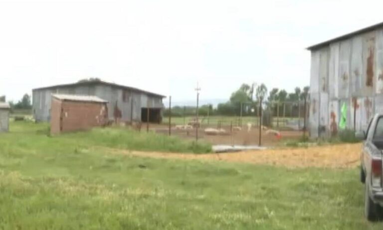 Νέες αποκαλύψεις για το έγκλημα στο Κιλκίς – Το παρελθόν των ληστών με τον κτηνοτρόφο (βίντεο)