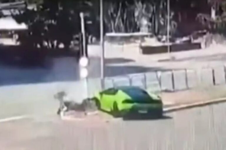 Βραζιλία: Οδηγός Lamborghini εμβόλισε μηχανόβιο που του «άρπαξε» το Rolex (βίντεο-σοκ)