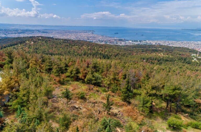 Θεσσαλονίκη: 24ώρες περιπολίες στο δάσος του Σέιχ Σου ζητούν φορείς και πολίτες