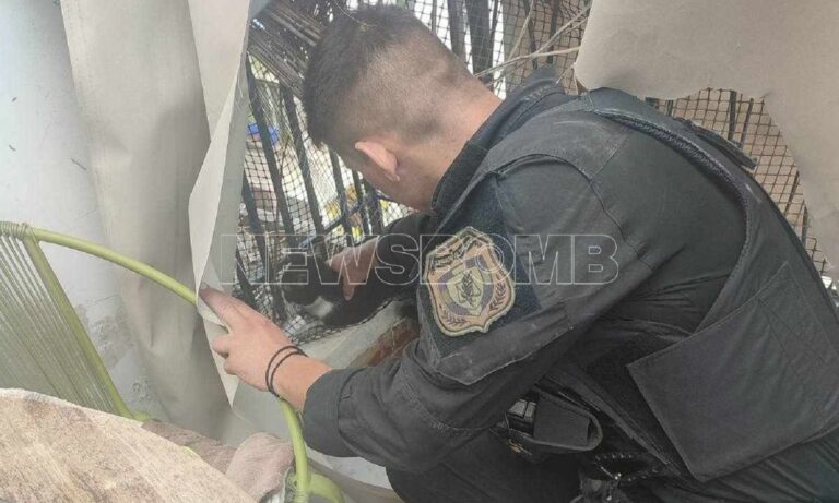 Βίντεο-ντοκουμέντο: Περιπετειώδης κατάσβεση σε διαμέρισμα στα Πατήσια – Πώς πυροσβέστες και αστυνομικοί έσωσαν 5 κατοικίδια