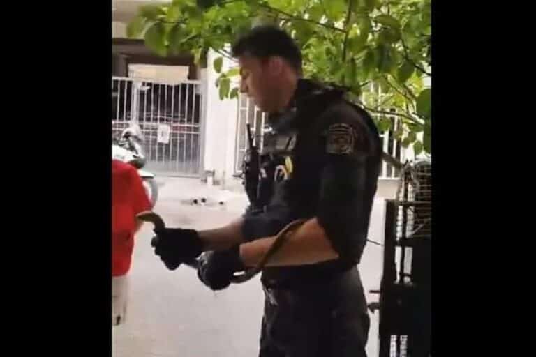 Αστυνομικοί της Ομάδας ΔΙ.ΑΣ. κλήθηκαν για έναν «ακάλεστο επισκέπτη» – Απομάκρυναν ερπετό από πυλωτή (βίντεο)