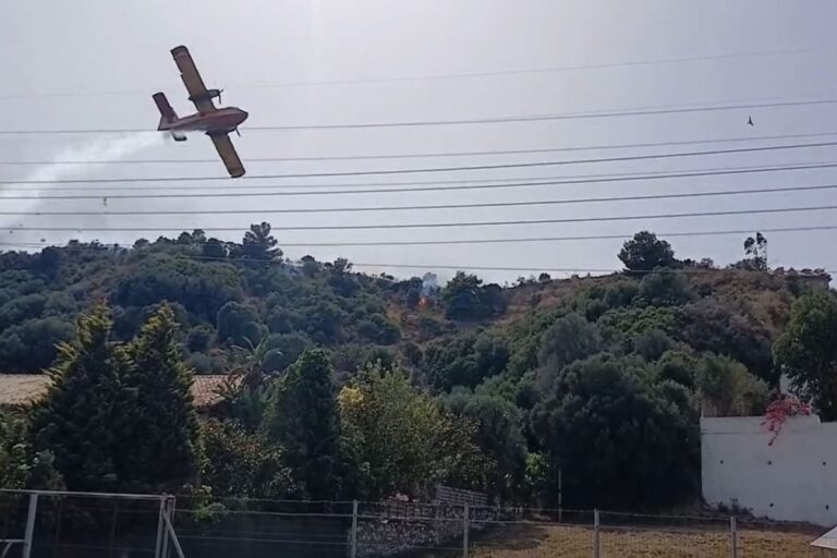 Φωτιά τώρα στην Αλεξανδρούπολη – Σηκώθηκαν 3 αεροσκάφη