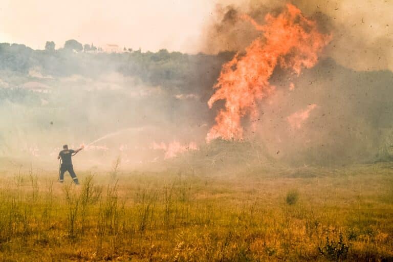 Χωρίς ενεργό μέτωπο η φωτιά στην Ηλεία – Μάχη με τις διάσπαρτες εστίες σε Λάττα και Πρόδρομο (βίντεο)