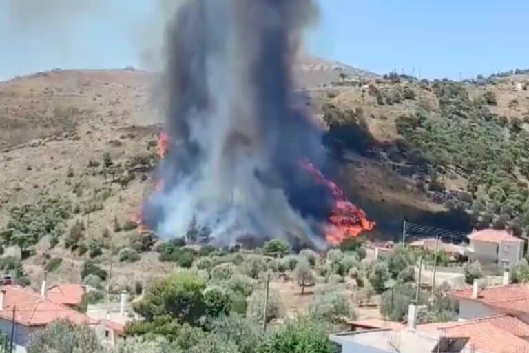 Στο πλευρό των πυρόπληκτων οι κάτοικοι της Αχαΐας – Μάζεψαν χρήματα από το υστέρημά τους