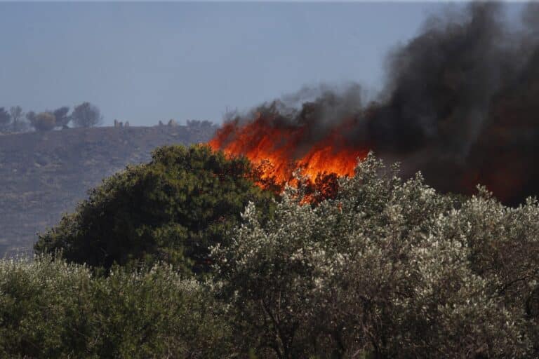 Τουλάχιστον 45 φωτιές και 11 μηνύματα 112 σε μόλις λίγες ώρες σήμερα: Σε σε χωριά οι φλόγες στη Μεγαλόπολη – Υπό έλεγχο το μέτωπο στο Μαύρο Λιθάρι