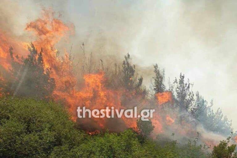 Θεσσαλονίκη: Μεγάλη φωτιά κοντά στον οικισμό Λίμνη στη Βόλβη – Ήχησε το 112