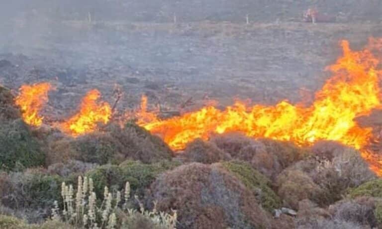 Πυροσβεστική: 44 φωτιές σε ένα 24ωρο – Πολύ υψηλός κίνδυνος πυρκαγιάς αύριο Παρασκευή