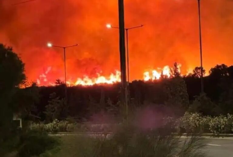 Μεγάλη φωτιά στην Κερατέα: Πάνω από 100 πυροσβέστες στο σημείο – Ήχησε το «112»! (βίντεο)