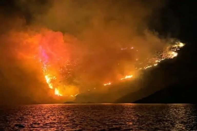 Φωτιά στην Ύδρα: Είχε οργανωθεί μπάρμπεκιου στην παραλία – Νέες αποκαλύψεις για τον εμπρησμό του πευκοδάσους (βίντεο)