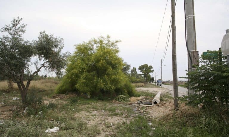 Ακαθάριστα οικόπεδα: «Ψαλιδίζονται» τα μέτρα πυροπροστασίας – Οι υποχρεώσεις των ιδιοκτητών