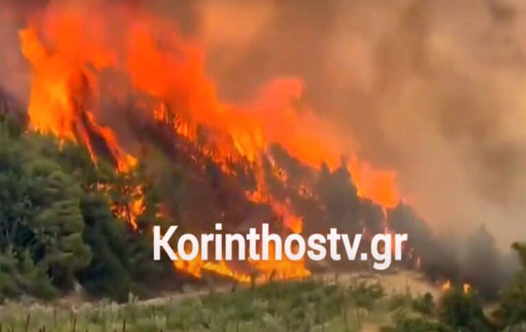 Ανεξέλεγκτη η φωτιά στην Κορινθία: Στη μάχη 140 πυροσβέστες – «Η Στιμάγκα καίγεται και δεν έχουμε νερό» (βίντεο)