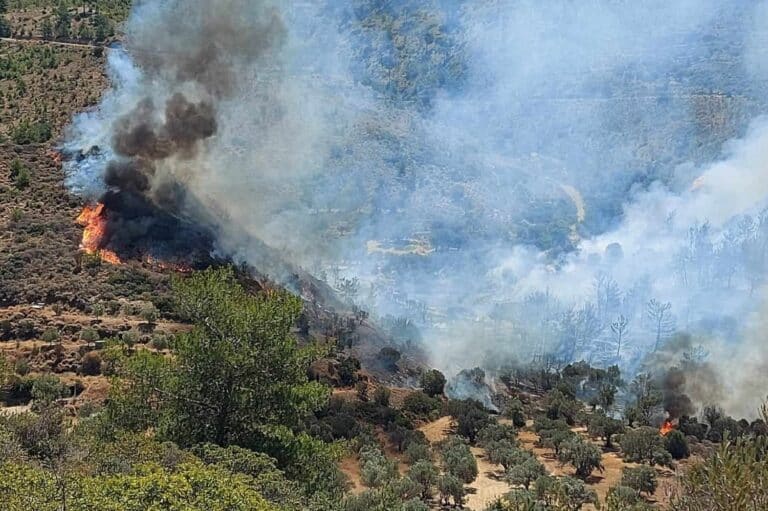 Φωτιά στη Ροδόπη, στην περιοχή Αμπελάκια: Σηκώθηκαν τα εναέρια μέσα, ήχησε το 112