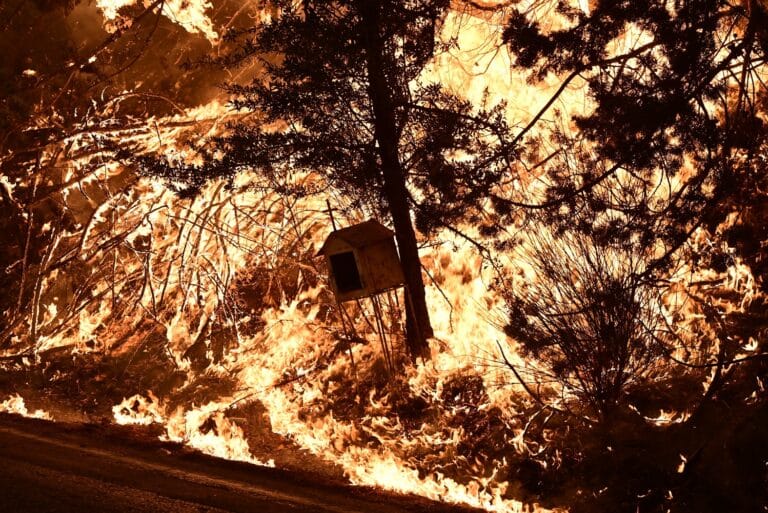 Επικίνδυνη η φωτιά στον Βαρνάβα: 10 εκκενώσεις οικισμών – 400 πυροσβέστες και δασοκομάντος στη μάχη!