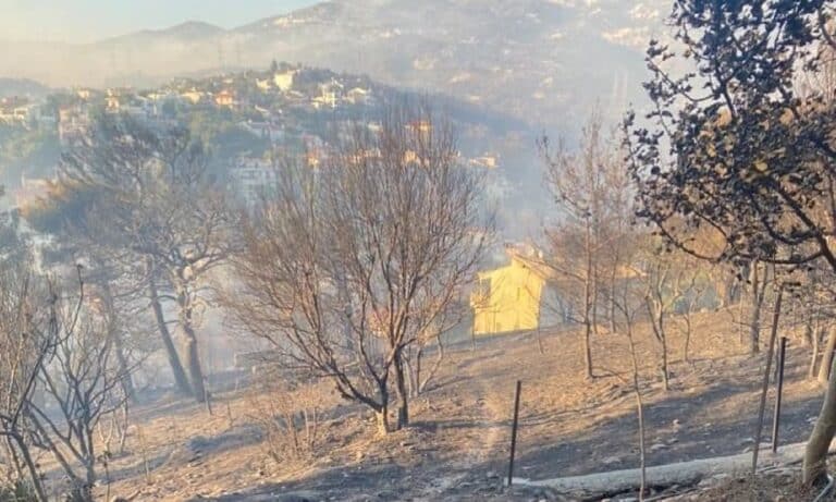 Αθηναΐς Νέγκα: «Ο σπιτονοικοκύρης έσωσε το σπίτι μου» – Εικόνες πριν και μετά το πέρασμα της φωτιάς