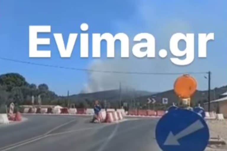 Φωτιά στην Εύβοια: Αναζωπύρωση πάνω από το χωριό Αφράτι (βίντεο)