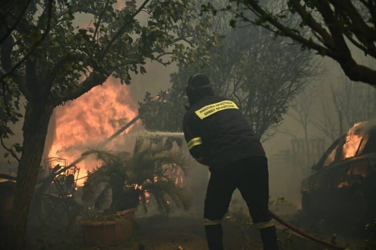 Φωτιά και σε δασική έκταση στον Παλαιόπυργο της Ορεινής Ναυπακτίας (εικόνα)