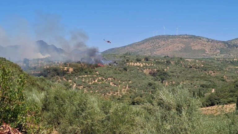 Συναγερμός στην Πυροσβεστική: Φωτιά στη Νέα Σάντα Ροδόπης