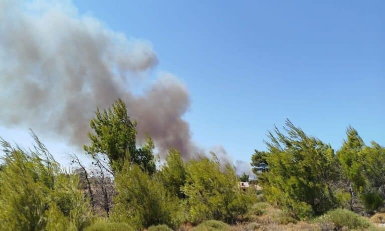 Φωτιά στην Αττική: Εκκένωση και των κατασκηνώσεων της Αστυνομίας στον Άγιο Ανδρέα