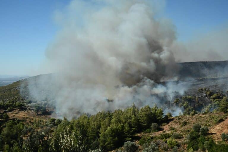 Γιατί είναι πολύ δύσκολη η φωτιά στην Αττική από άποψη διαχείρισης – Τι λέει ο πυρομετεωρολόγος