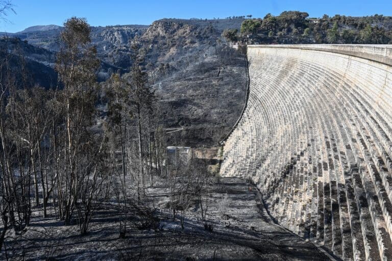 Φωτιά στην Αττική: Αυτοψία στα καμένα από Βαρνάβα έως Βριλήσσια και Χαλάνδρι (εικόνες)