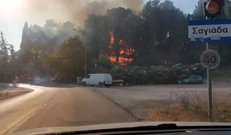 Θεσπρωτία: Μεγάλη φωτιά στην Σαγιάδα, κοντά στον οικισμό οι φλόγες – Μήνυμα από το 112!