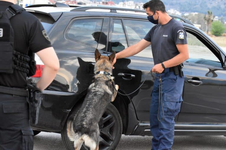 Ηράκλειο: Ο αστυνομικός σκύλος «ΜΑΣΚ» εντόπισε ναρκωτικά και χρήματα – Ήταν κρυμμένα σε τάπερ