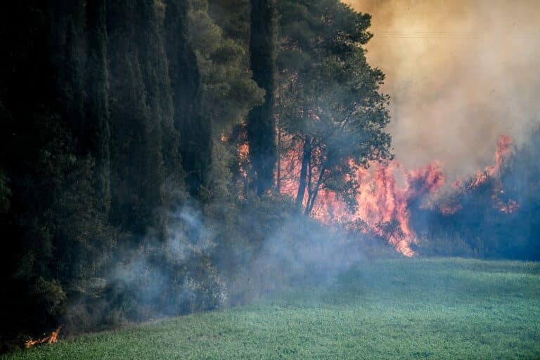 Φωτιά στην Ηλεία: Η πρωινή βροχόπτωση σύμμαχος των πυροσβεστών στο Γεράκι Αμαλιάδας