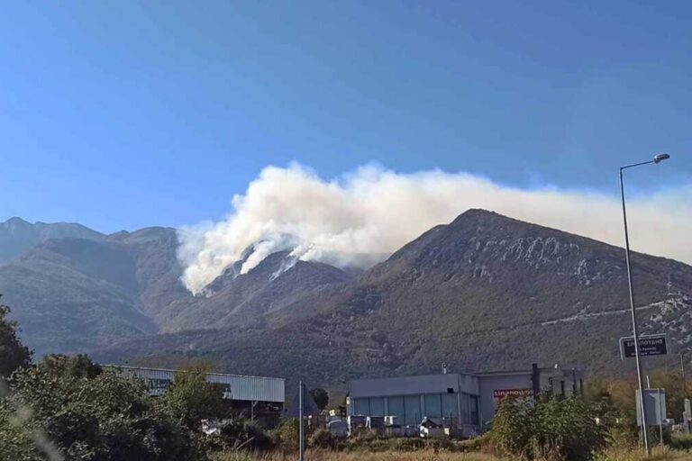 Καίει για 5η μέρα η φωτιά στη Νικήσιανη Καβάλας – Στο Παγγαίο επιχειρούν 390 πυροσβέστες!